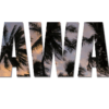 Best time to visit Hawaii